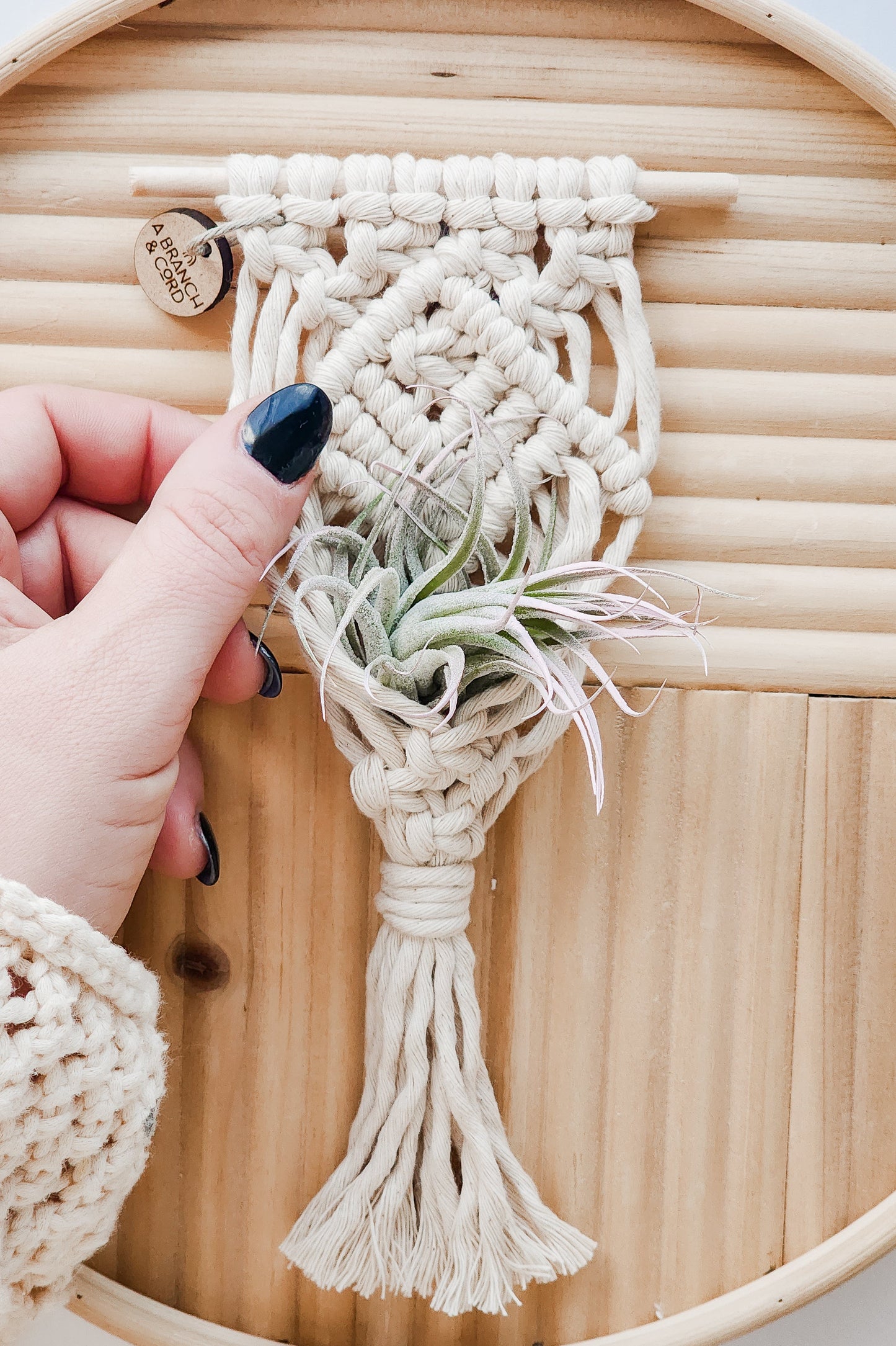 Mini Magnetic Macrame Air Plant Hangers – Handmade Boho Decor