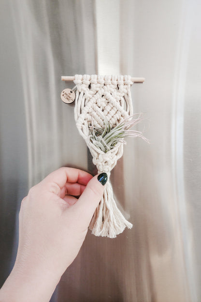 Mini Magnetic Macrame Air Plant Hangers – Handmade Boho Decor