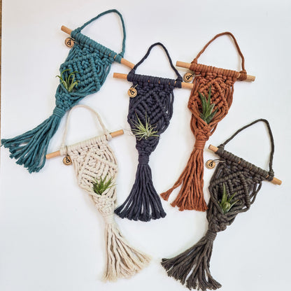 Macrame Air Plant Hanger