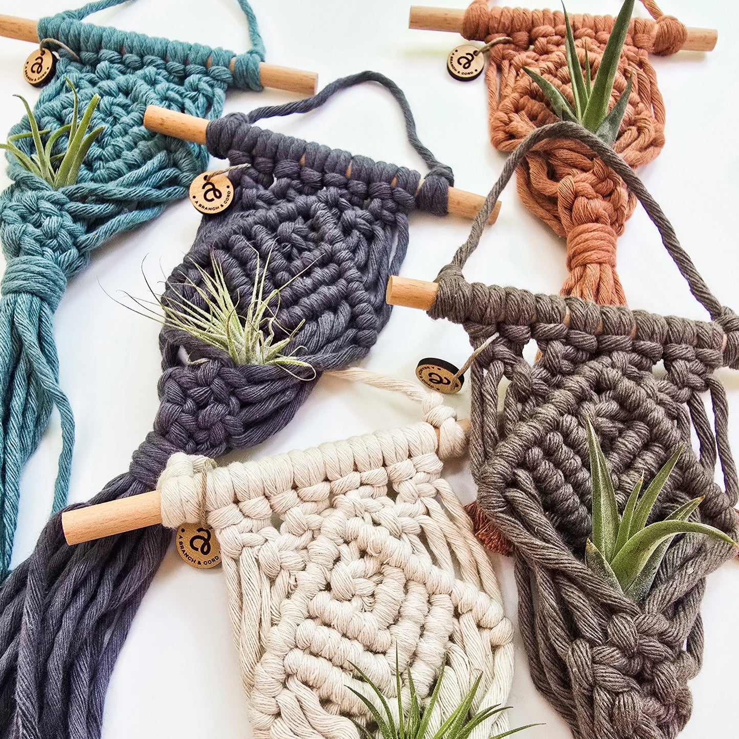Macrame Air Plant Hanger