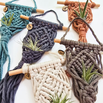 Macrame Air Plant Hanger