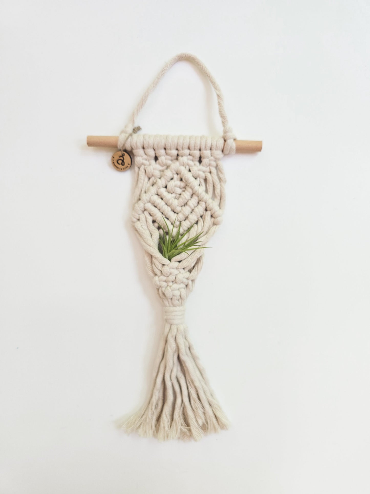 Macrame Air Plant Hanger