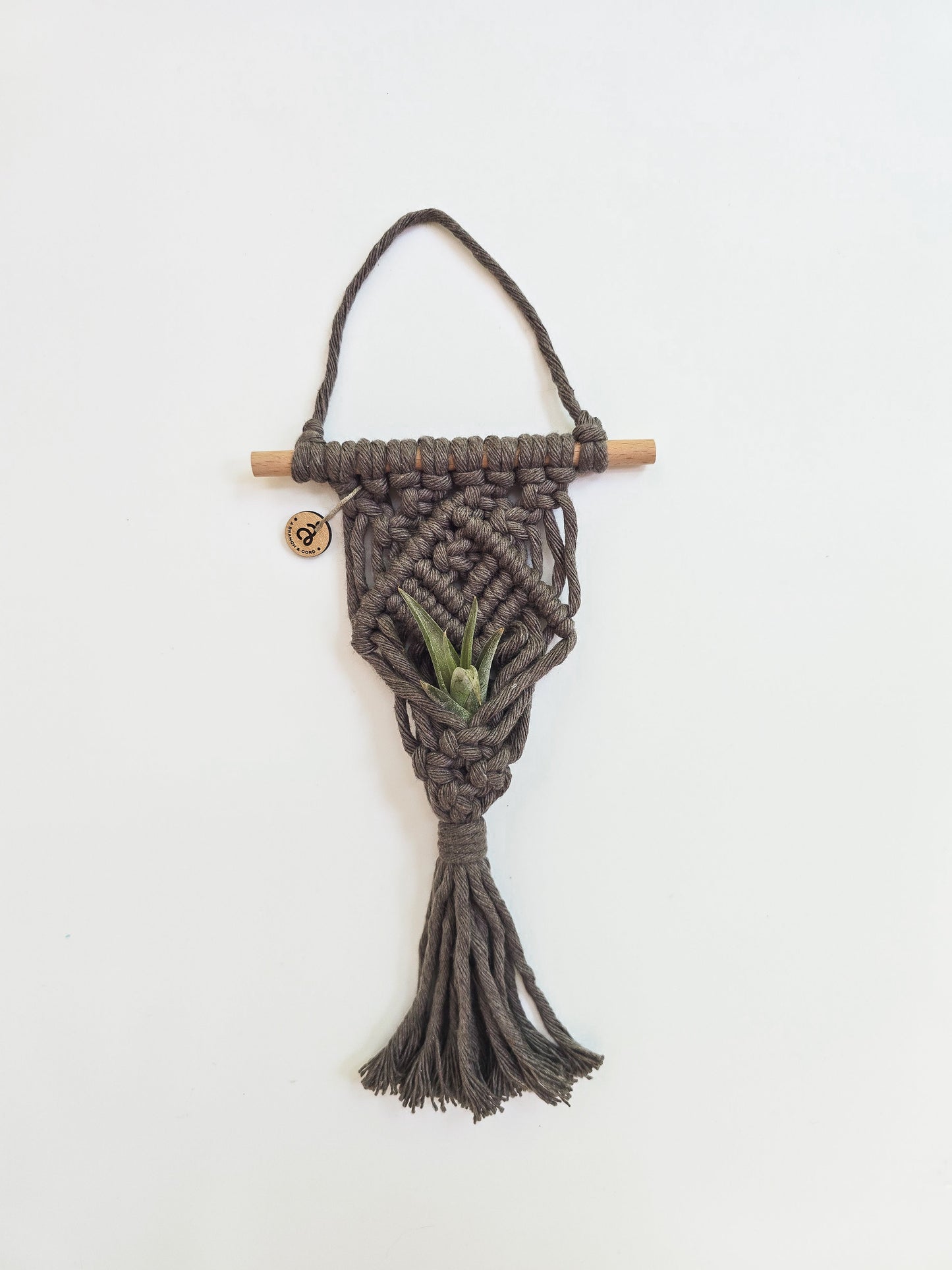 Macrame Air Plant Hanger