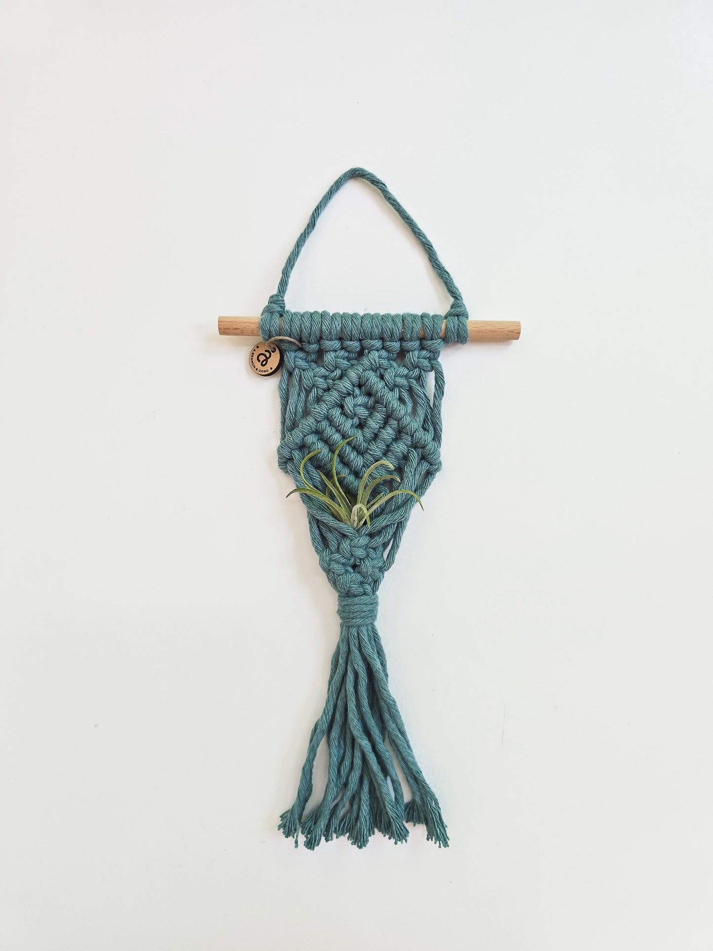 Macrame Air Plant Hanger