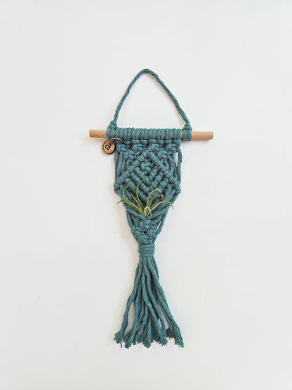 Macrame Air Plant Hanger