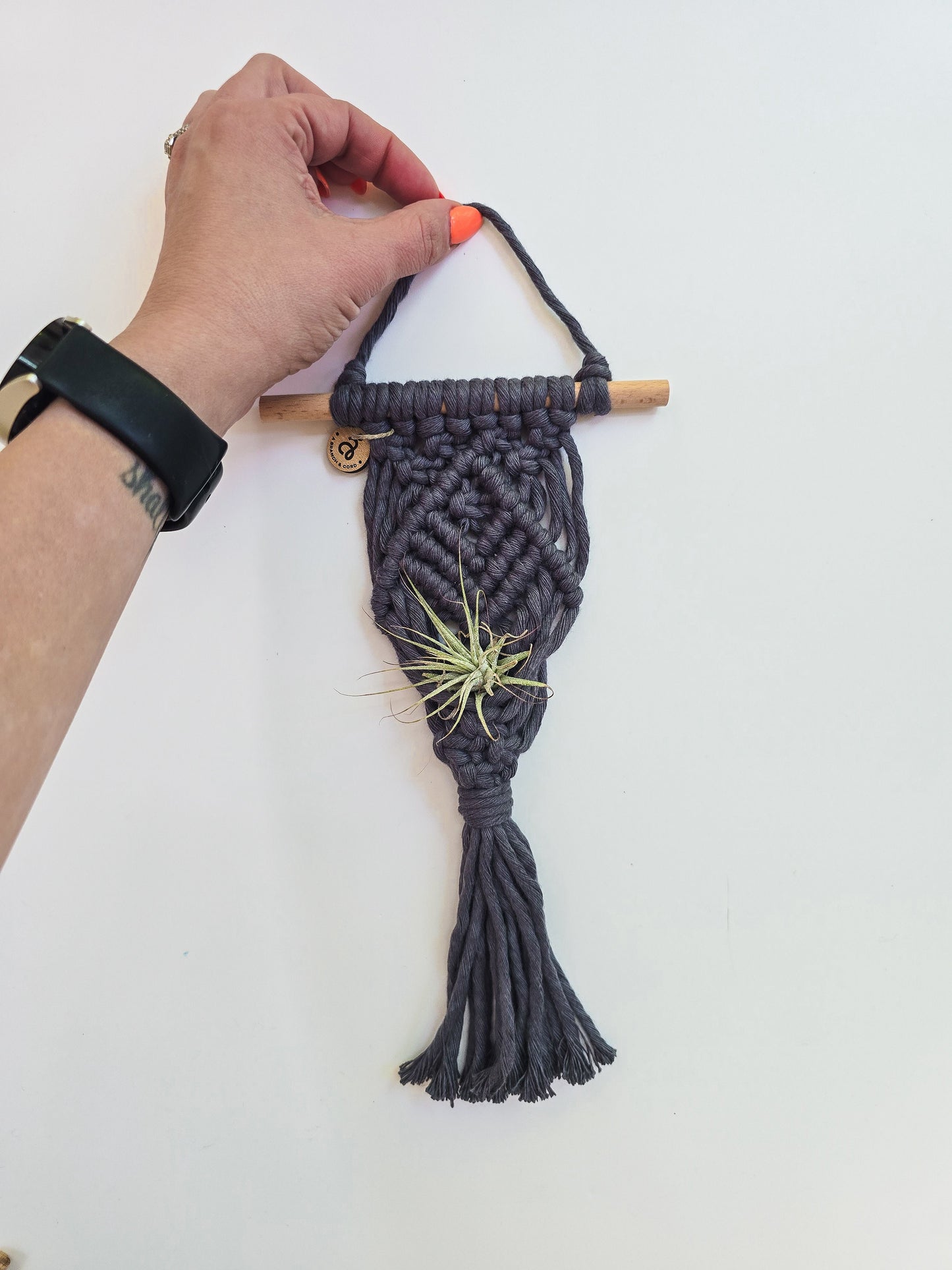 Macrame Air Plant Hanger