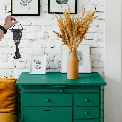 Macrame Air Plant Hanger