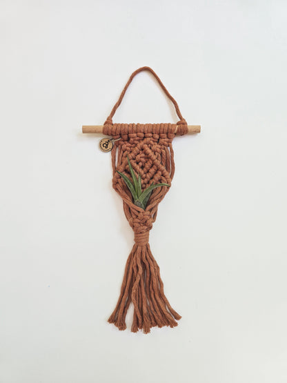 Macrame Air Plant Hanger