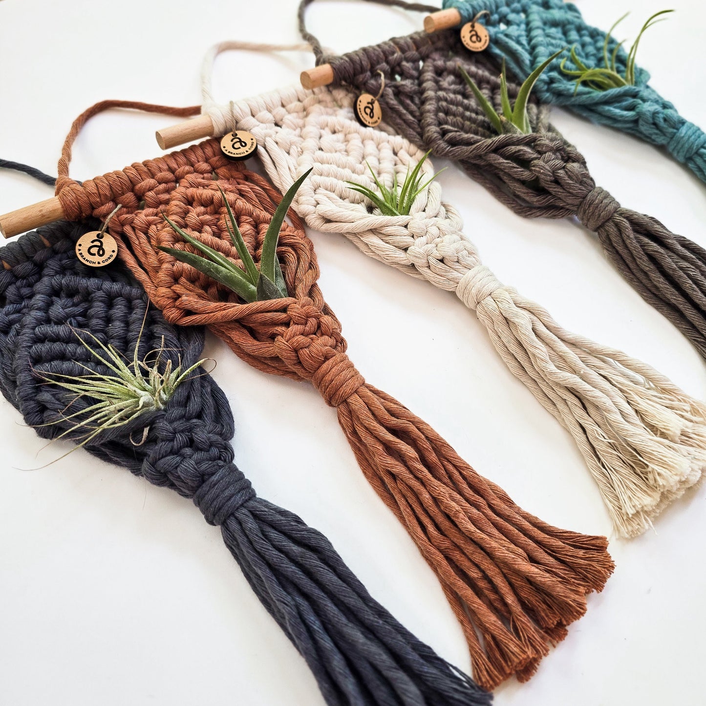 Macrame Air Plant Hanger