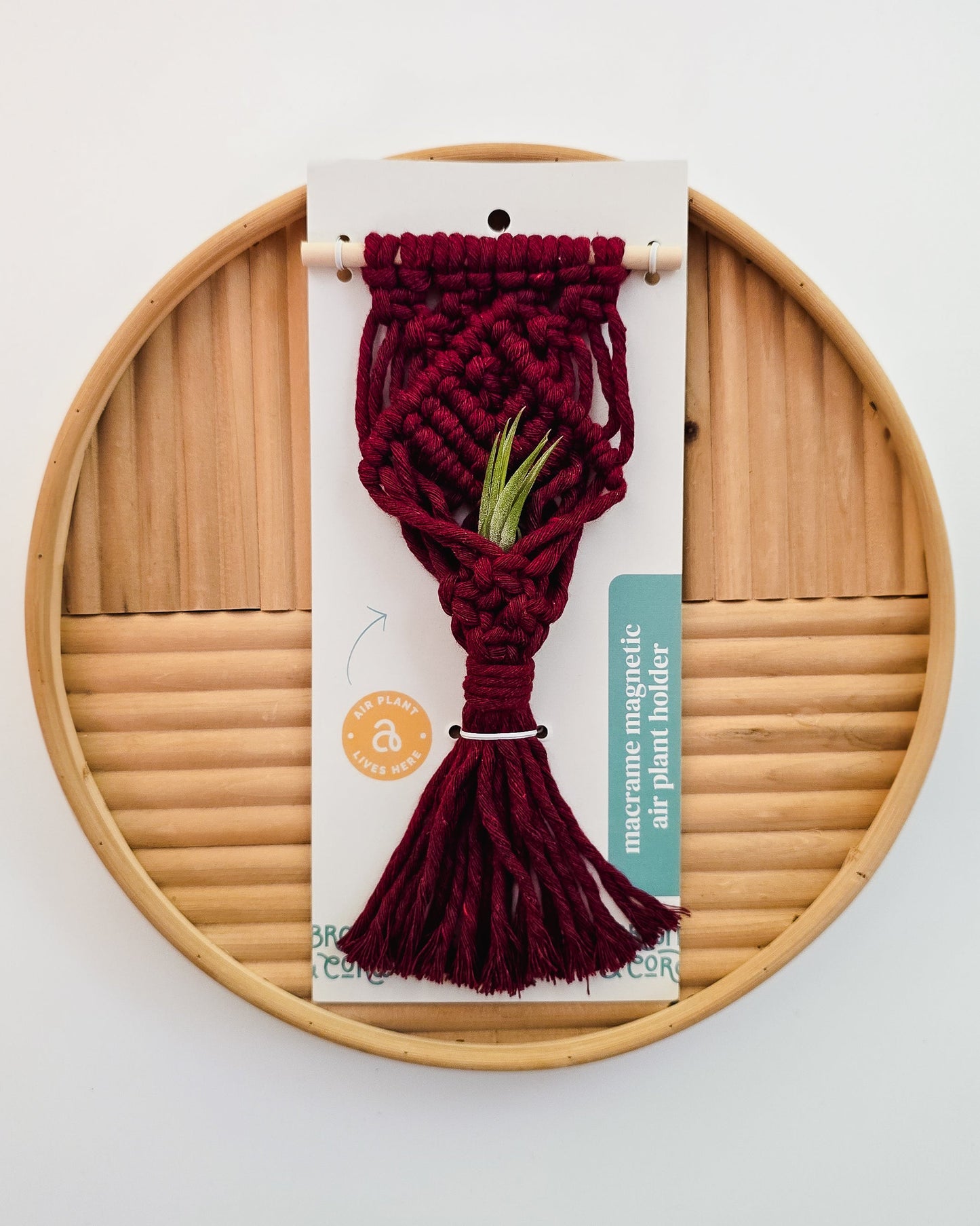 Mini Magnetic Macrame Air Plant Hangers – Handmade Boho Decor