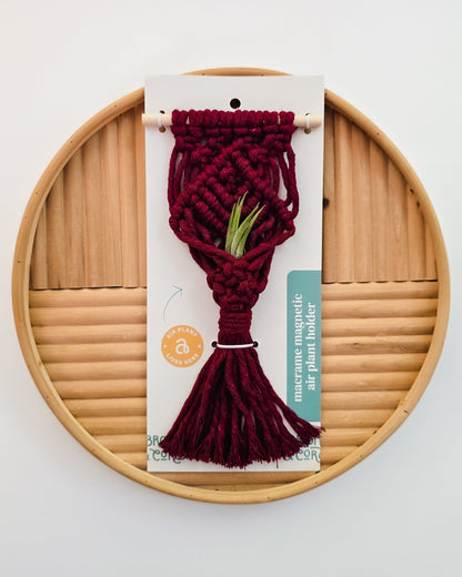 Mini Magnetic Macrame Air Plant Hangers – Handmade Boho Decor
