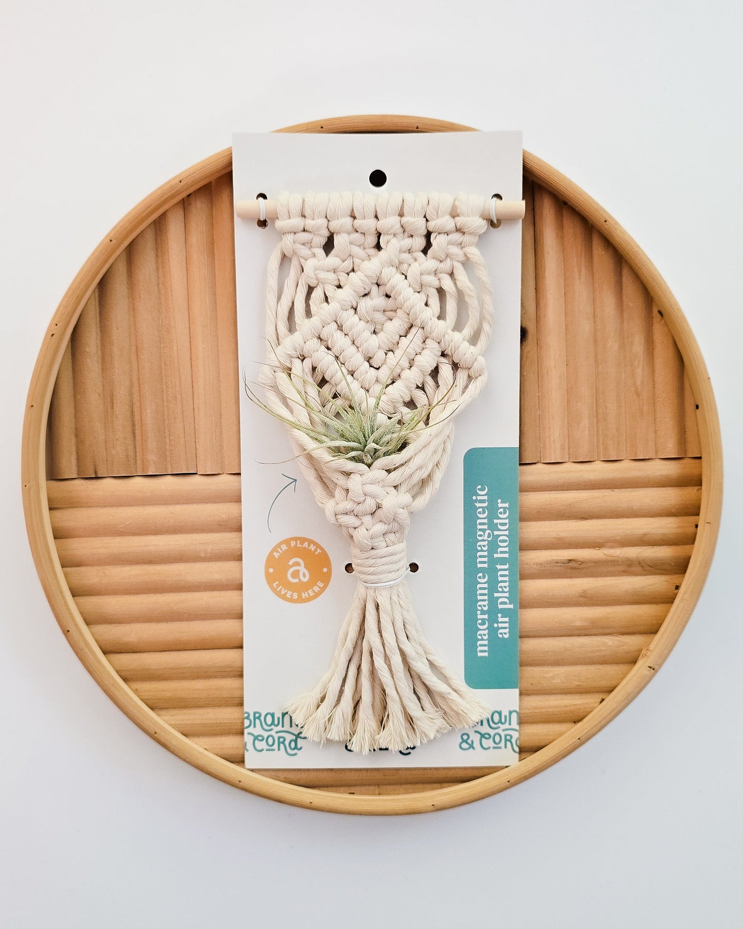 Mini Magnetic Macrame Air Plant Hangers – Handmade Boho Decor
