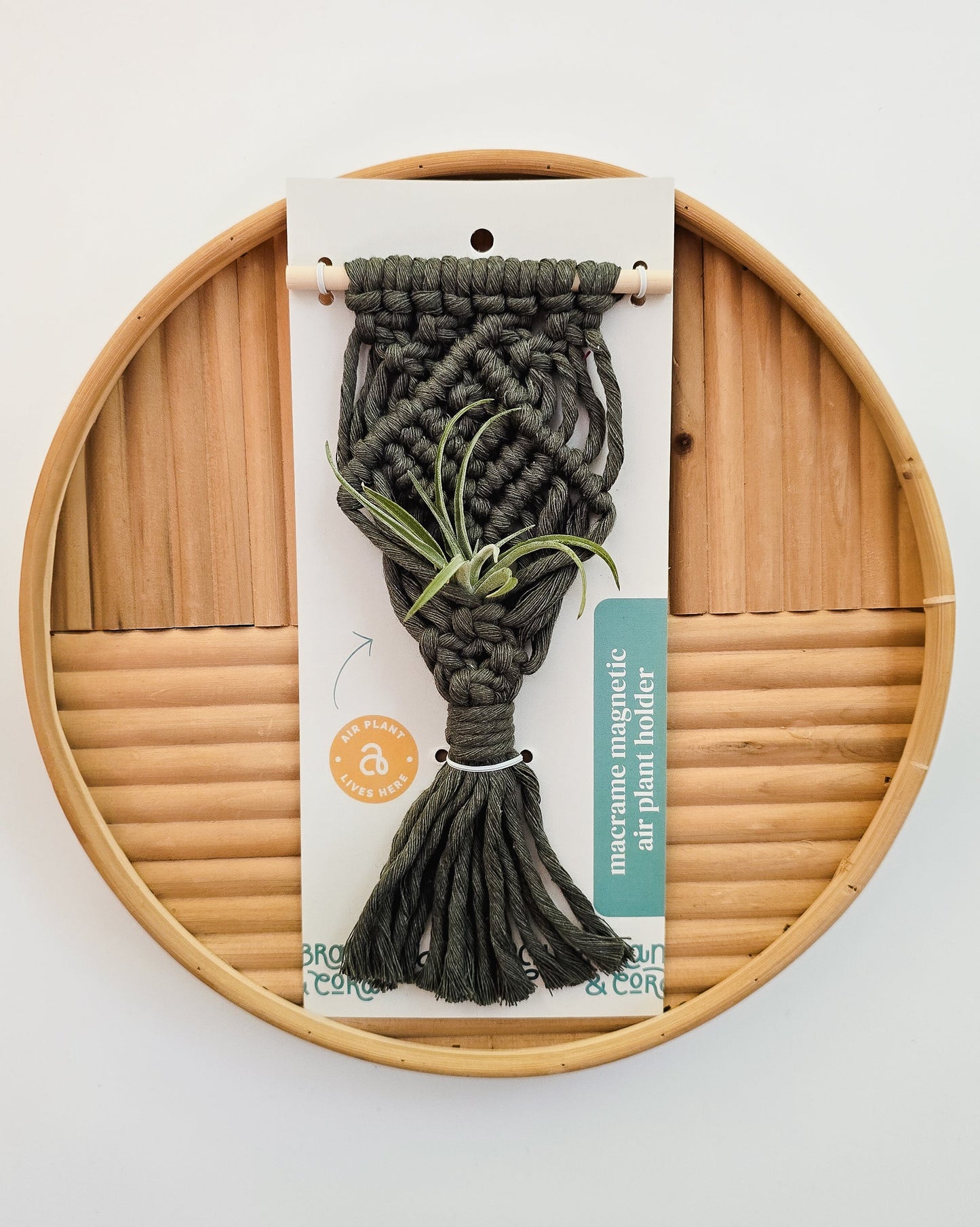 Mini Magnetic Macrame Air Plant Hangers – Handmade Boho Decor