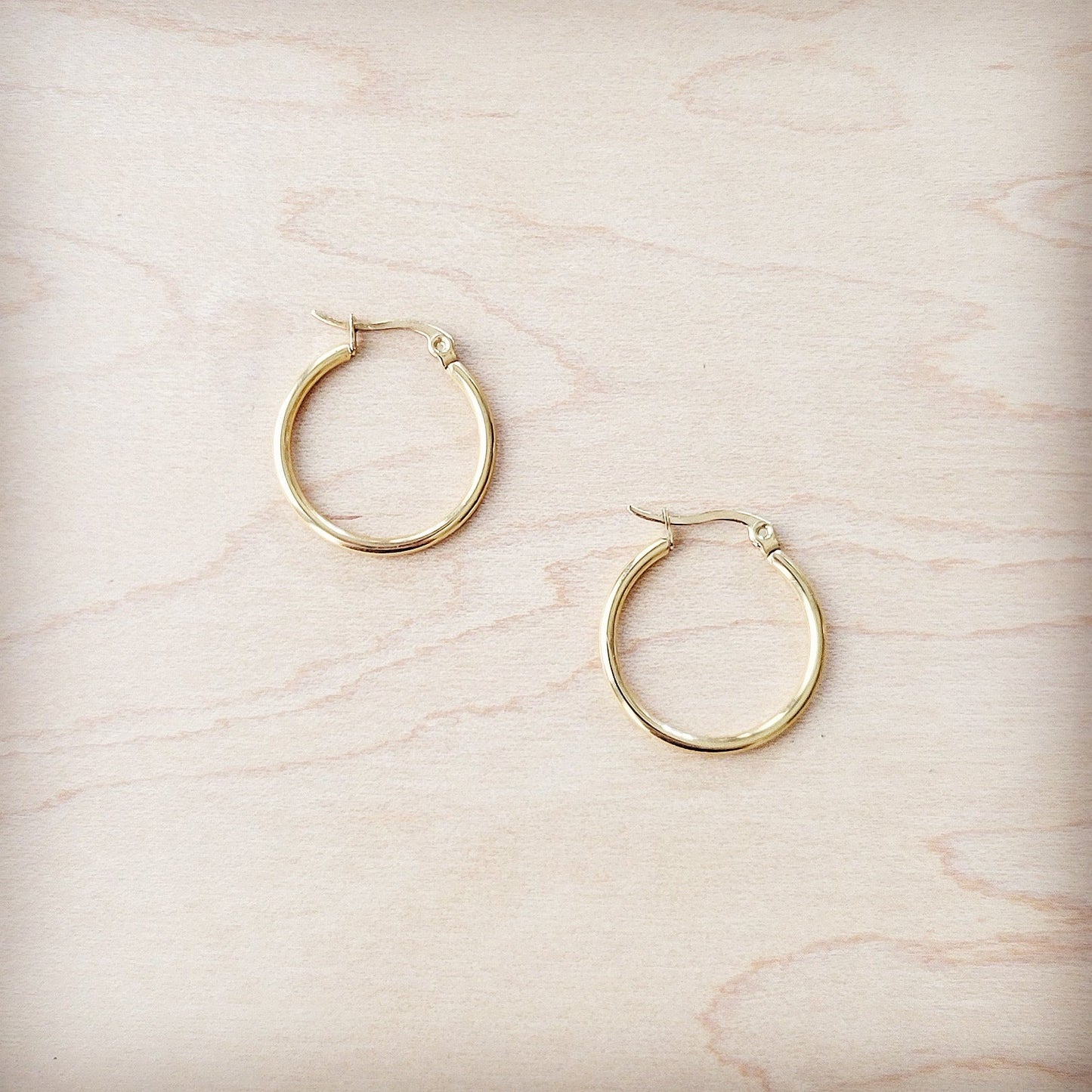 Small Stainless Steel Hoop Earrings 18K Gold Plating 219a