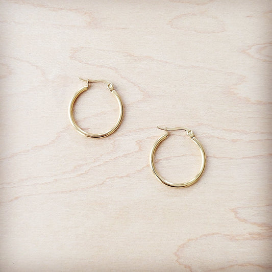 Small Stainless Steel Hoop Earrings 18K Gold Plating 219a