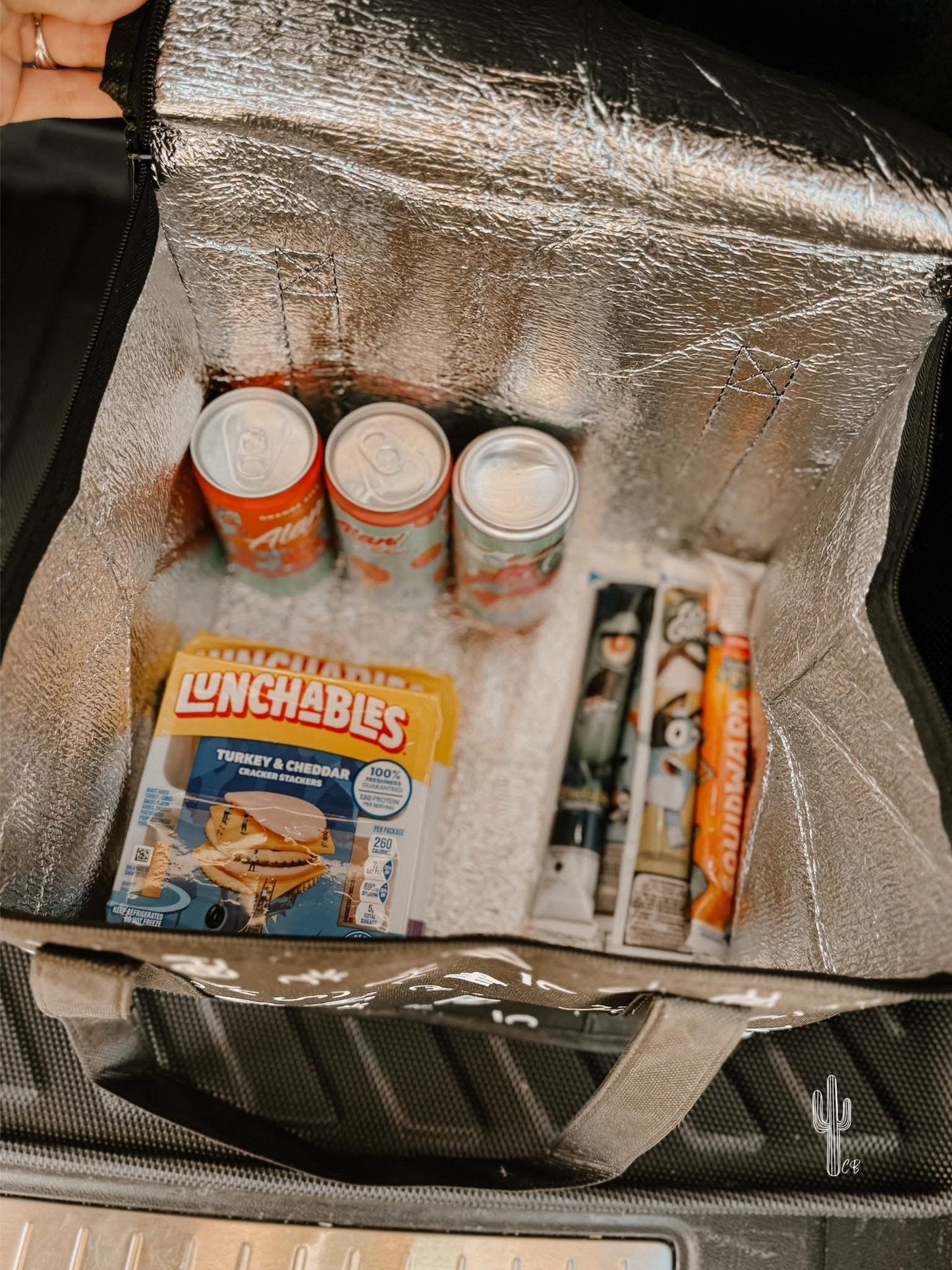 Cooler Bags Large & Medium