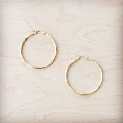 Medium Stainless Steel Hoop Earrings 18K Gold Plating 219b