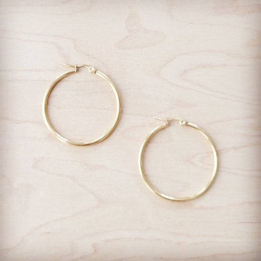 Medium Stainless Steel Hoop Earrings 18K Gold Plating 219b