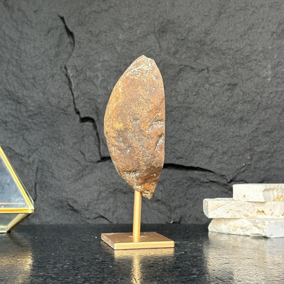 Incredible Jasper formation and Metal Base, Rare Crystal 100% natural