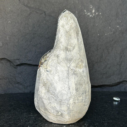 Precious stones and semi precious geode