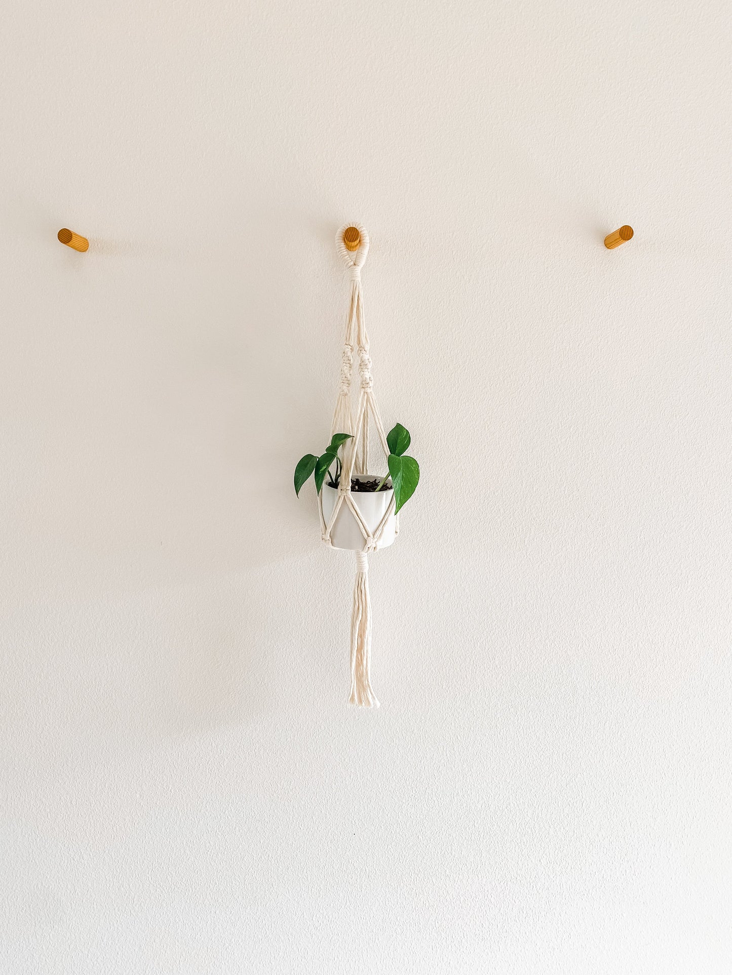 Macrame Hanging Planter