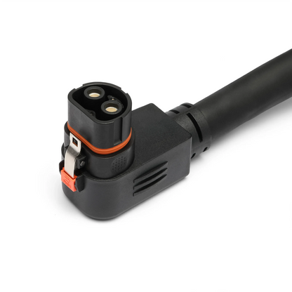 Lion Safari XP Expansion Pack