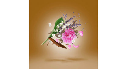 Xerjoff Alexandria II