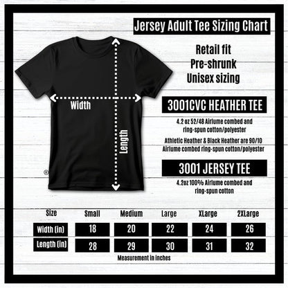 Eagle Freedom Tour Vintage Style t-shirt