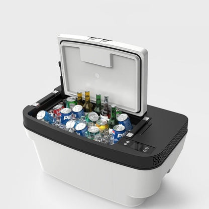 Car Refrigerator in Trunk for Tesla Model 3/Y