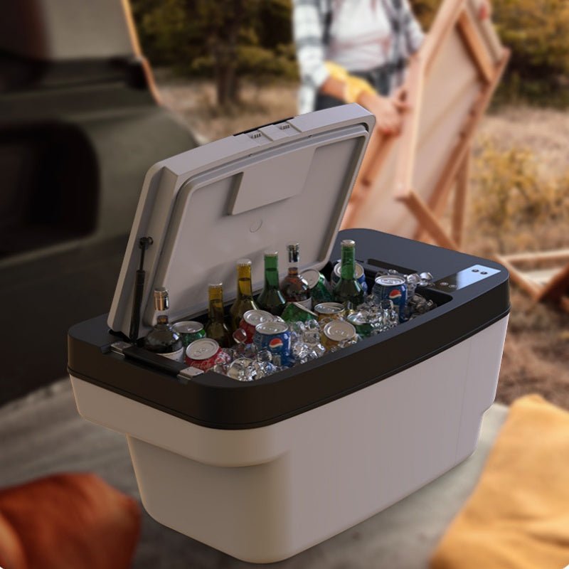 Car Refrigerator in Trunk for Tesla Model 3/Y