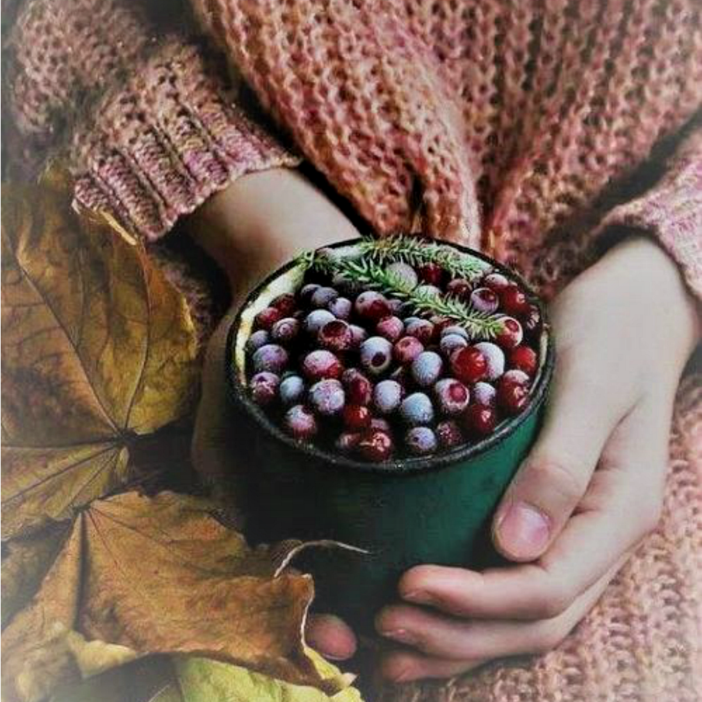 Cranberry Woods Sorbet