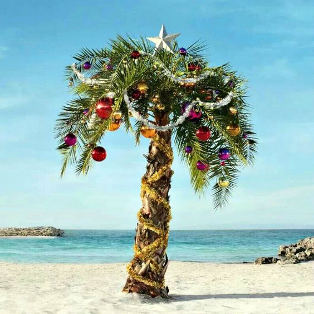 Island Christmas