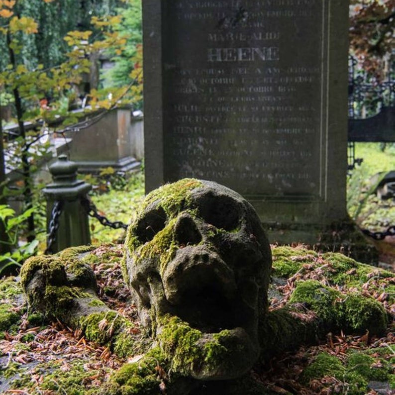 Cemetery Moss