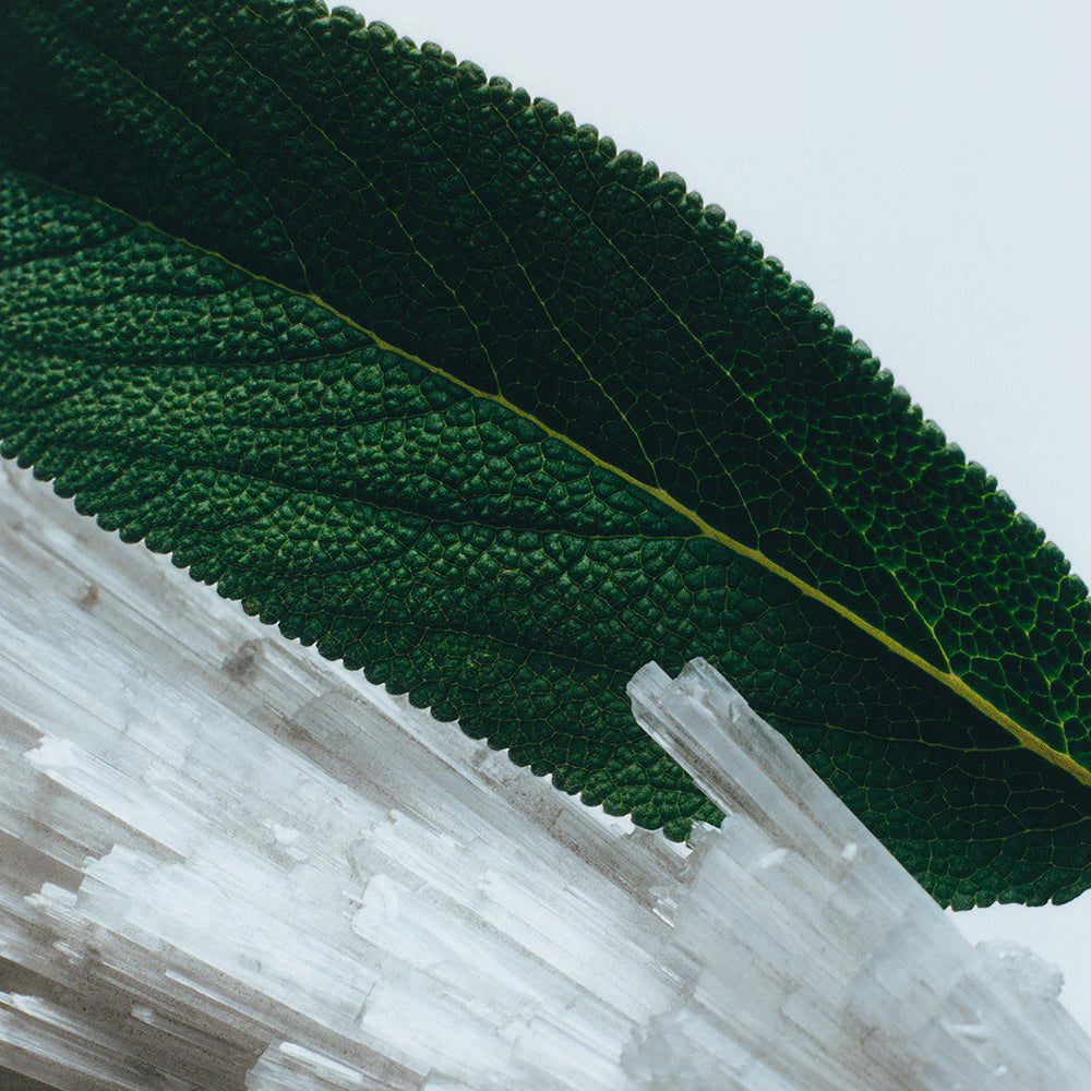 Jo Malone Wood Sage & Sea Salt