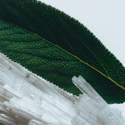 Jo Malone Wood Sage & Sea Salt