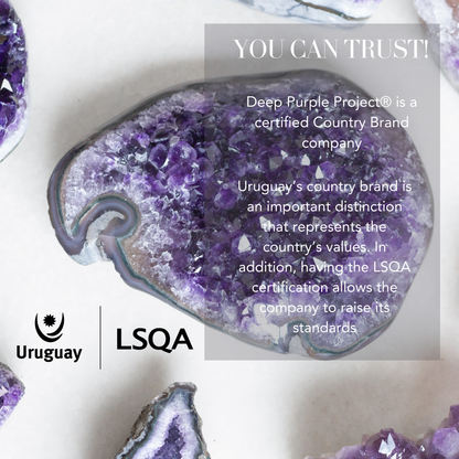 Largest amethyst geode