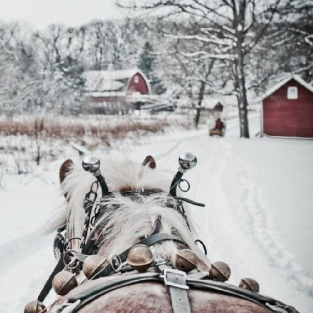 Sleigh Ride