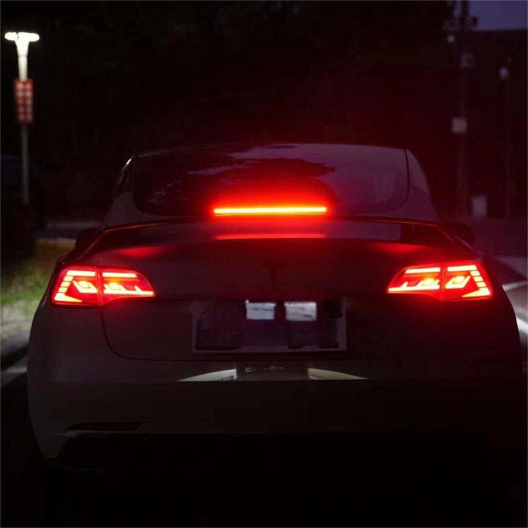 TESERY Full LED Tail Light for Tesla Model 3/Y