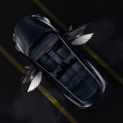 TESERY Angel Wings Door Welcome Lights for Model 3/Y/S/X