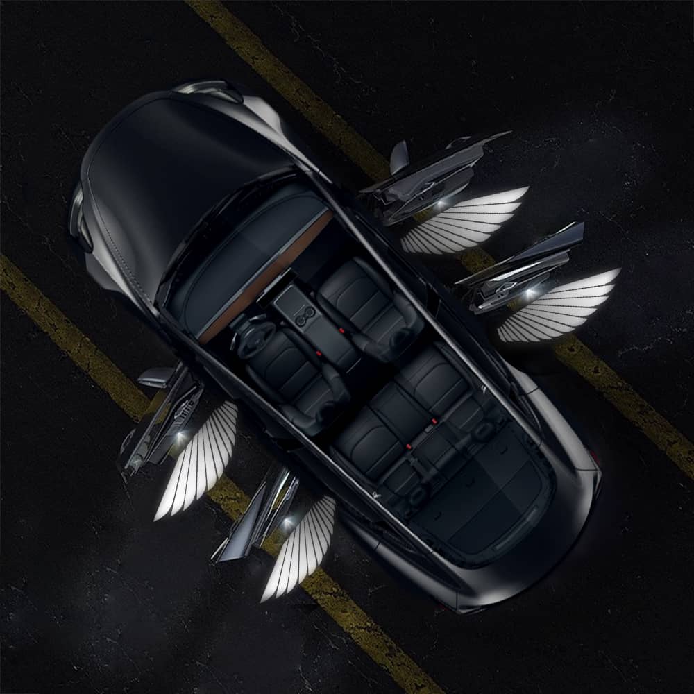 TESERY Angel Wings Door Welcome Lights for Model 3/Y/S/X