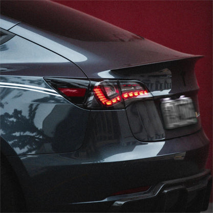TESERY Dragon Scale Tail Lights for Model 3/Y