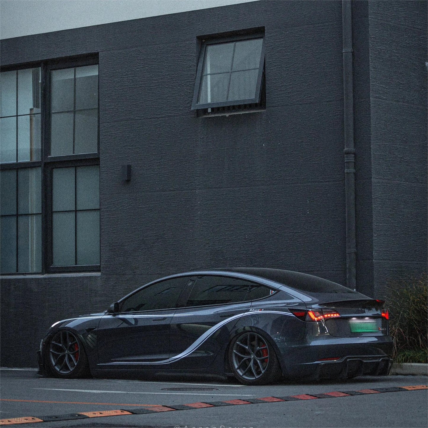 TESERY Dragon Scale Tail Lights for Model 3/Y