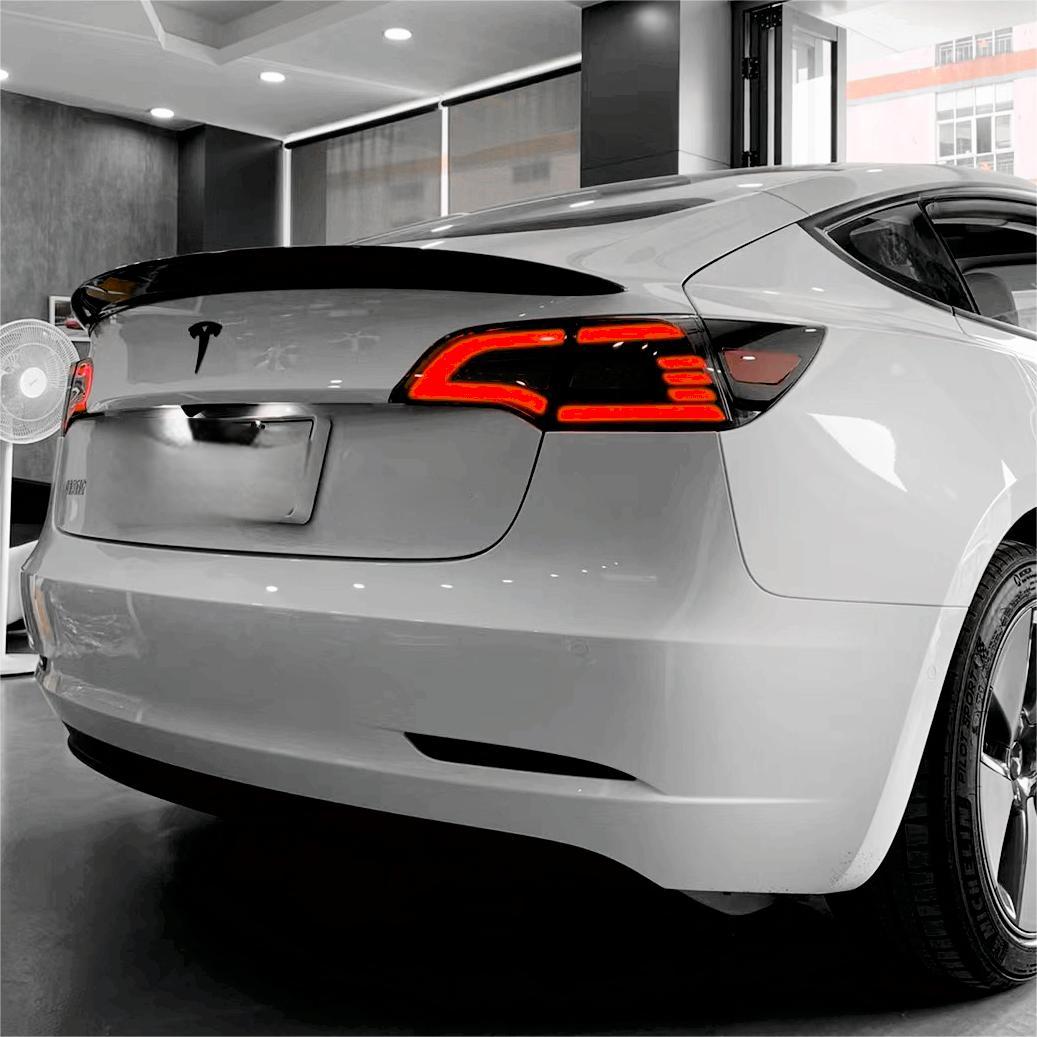 TESERY Eagle Eye Taillight Upgrade for Model 3/Y
