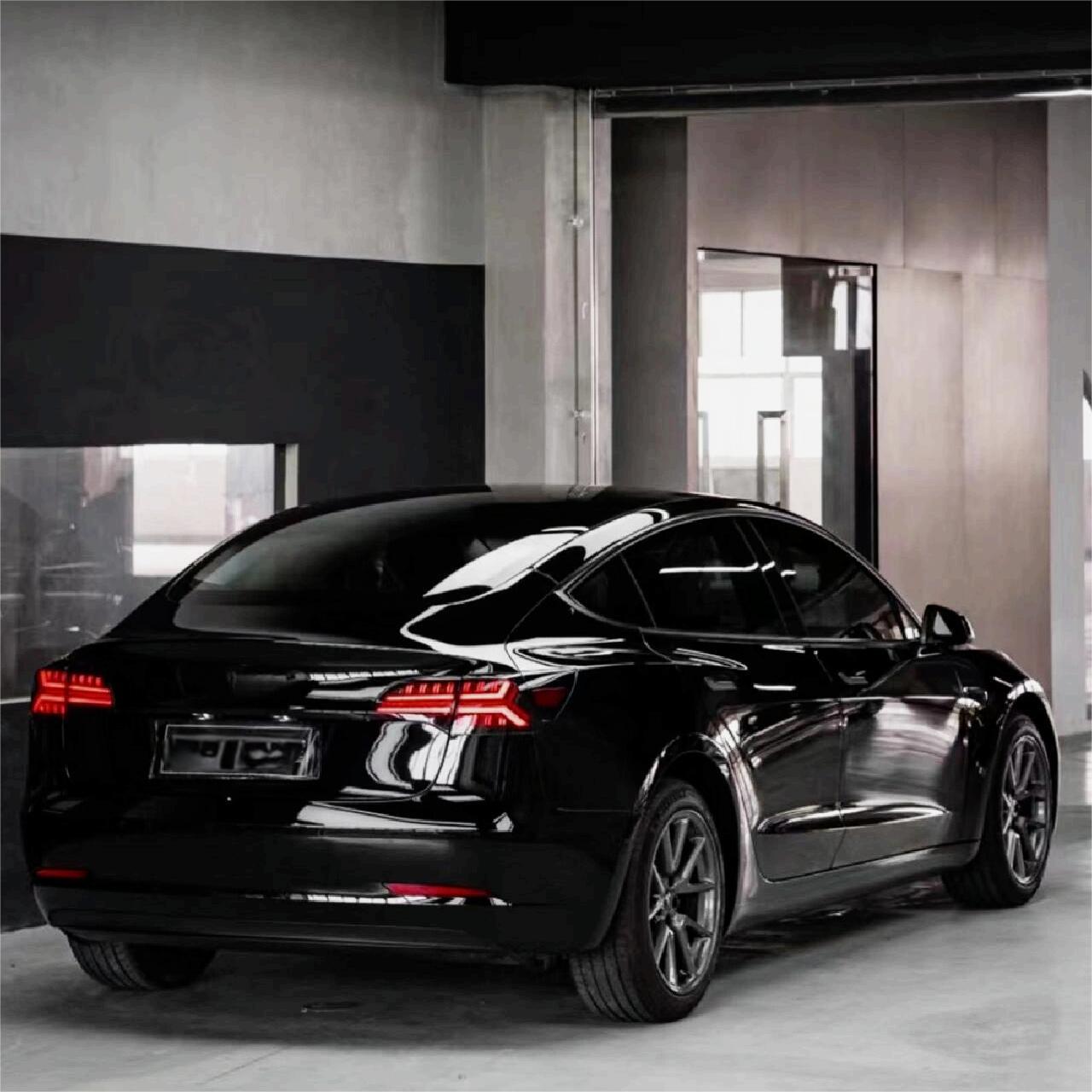 TESERY Fish Bone Tail Light for Model 3/Y